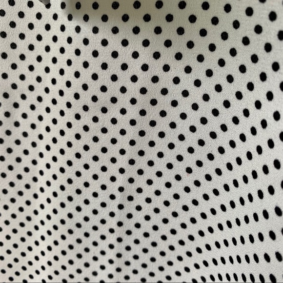 Adrianna Papell Polkadot Blouse - Picture 11 of 13